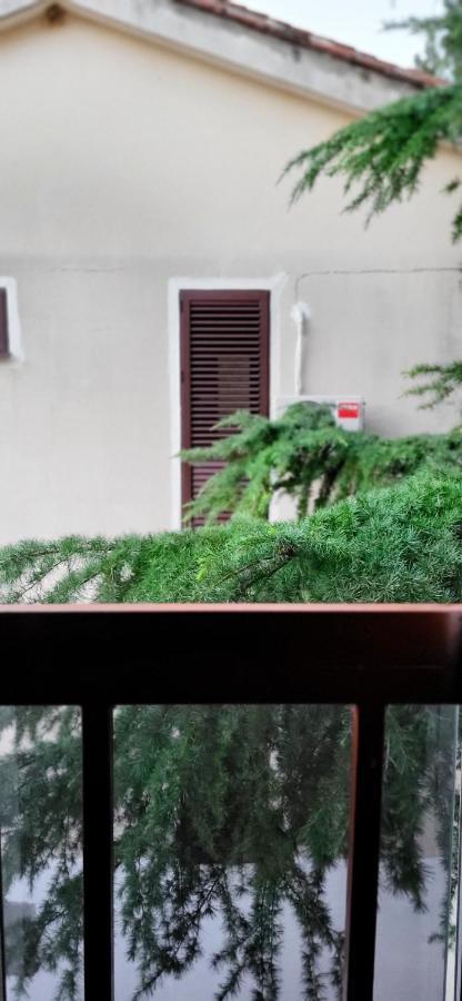 Apartment Snoopy *